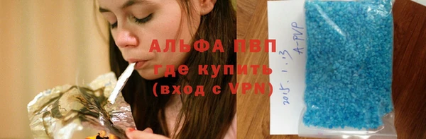 apvp Алзамай