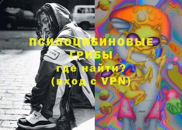 apvp Алзамай
